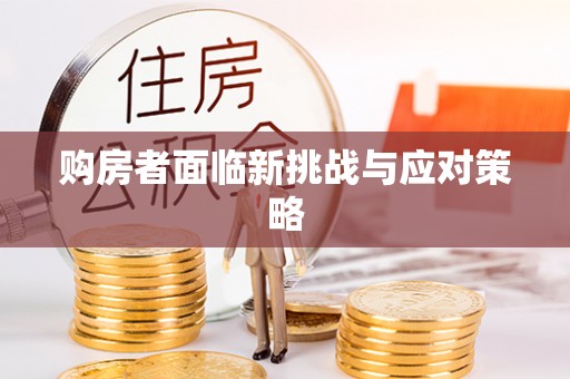 丰泽购房者面临新挑战与应对策略