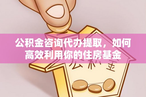 丰泽公积金咨询代办提取，如何高效利用你的住房基金