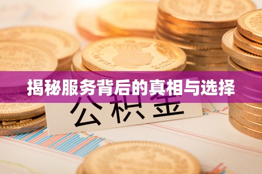 丰泽揭秘服务背后的真相与选择