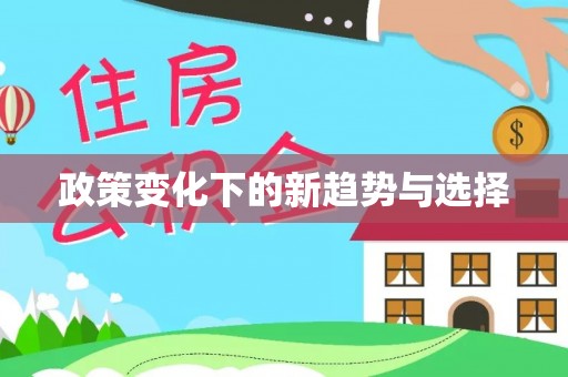 丰泽政策变化下的新趋势与选择