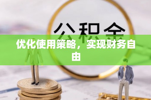 丰泽优化使用策略，实现财务自由