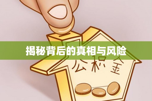 丰泽揭秘背后的真相与风险