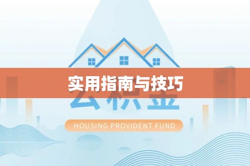 丰泽实用指南与技巧
