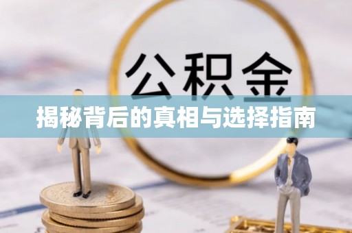 丰泽揭秘背后的真相与选择指南