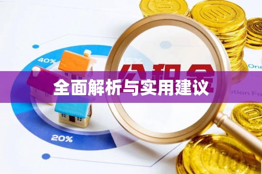 丰泽全面解析与实用建议