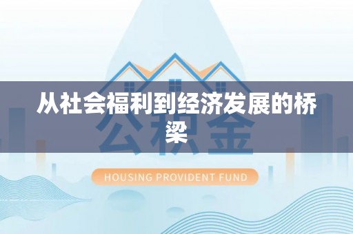 丰泽从社会福利到经济发展的桥梁