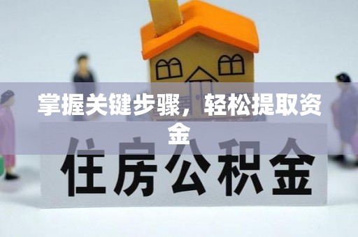 丰泽掌握关键步骤，轻松提取资金