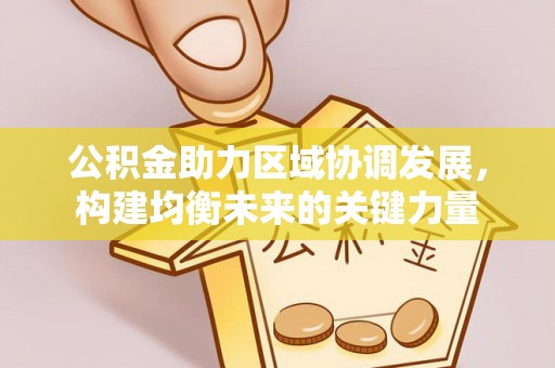 丰泽公积金助力区域协调发展，构建均衡未来的关键力量