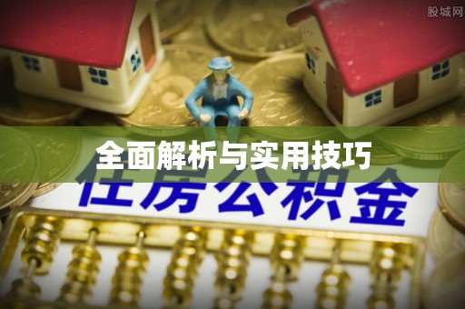 丰泽全面解析与实用技巧