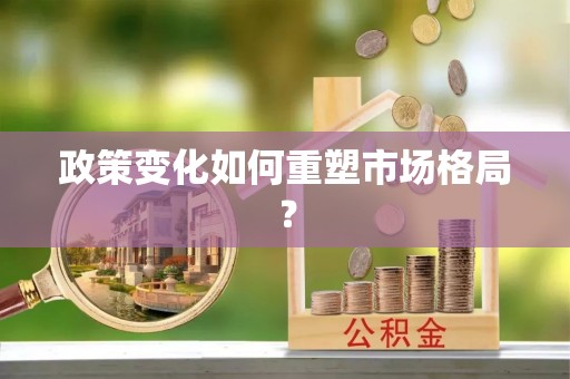 丰泽政策变化如何重塑市场格局？