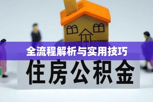 丰泽全流程解析与实用技巧