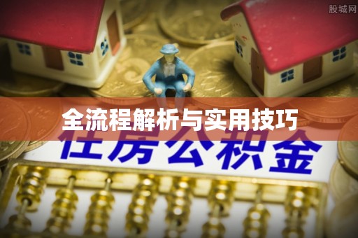 丰泽全流程解析与实用技巧