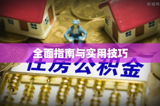 丰泽全面指南与实用技巧