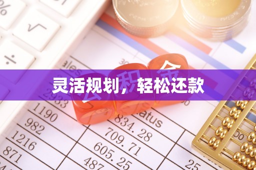 丰泽灵活规划，轻松还款