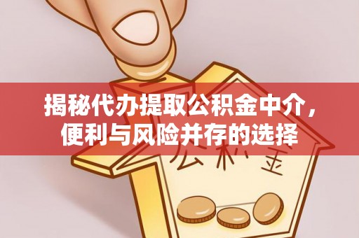 丰泽揭秘代办提取公积金中介，便利与风险并存的选择