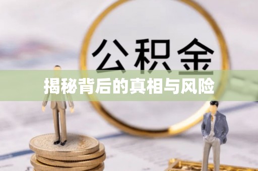 丰泽揭秘背后的真相与风险