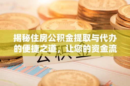 丰泽揭秘住房公积金提取与代办的便捷之道，让您的资金流动更高效