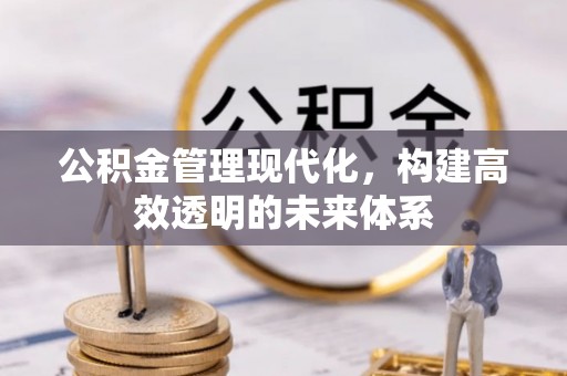丰泽公积金管理现代化，构建高效透明的未来体系