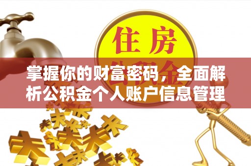 丰泽掌握你的财富密码，全面解析公积金个人账户信息管理与优化