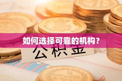 丰泽如何选择可靠的机构？
