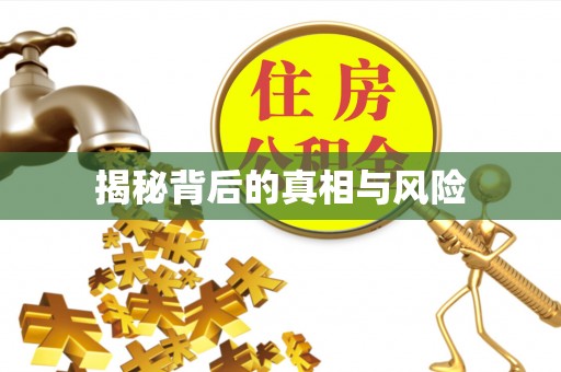 丰泽揭秘背后的真相与风险