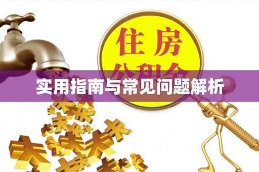 丰泽实用指南与常见问题解析
