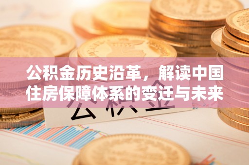 丰泽公积金历史沿革，解读中国住房保障体系的变迁与未来