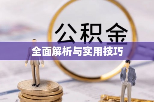 丰泽全面解析与实用技巧