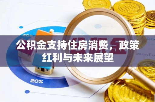 丰泽公积金支持住房消费，政策红利与未来展望