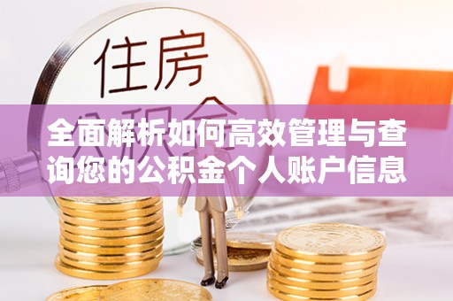 丰泽全面解析如何高效管理与查询您的公积金个人账户信息