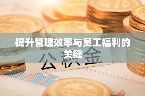 丰泽提升管理效率与员工福利的关键