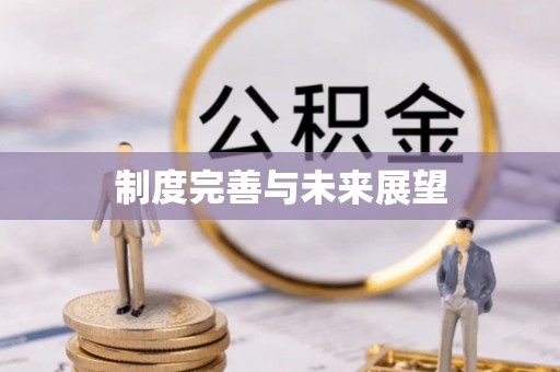 丰泽制度完善与未来展望