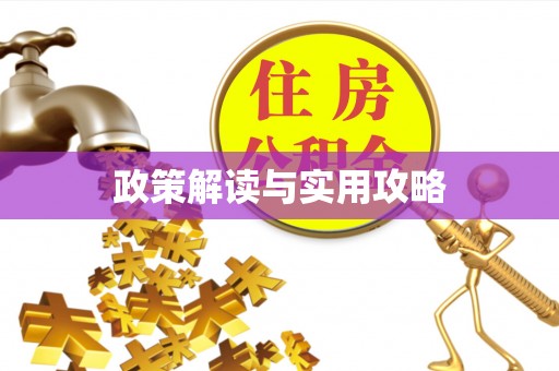 丰泽政策解读与实用攻略