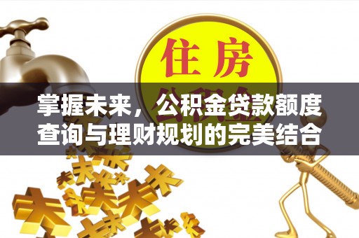 丰泽掌握未来，公积金贷款额度查询与理财规划的完美结合