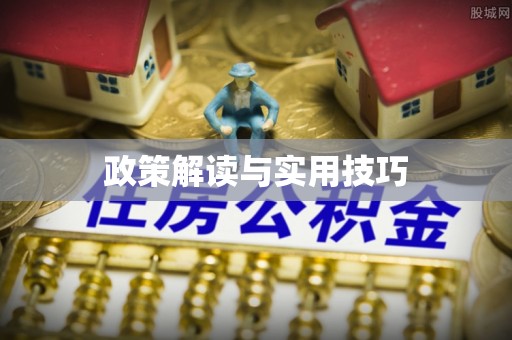 丰泽政策解读与实用技巧