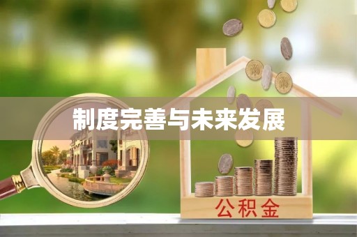 丰泽制度完善与未来发展