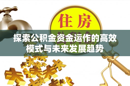 丰泽探索公积金资金运作的高效模式与未来发展趋势