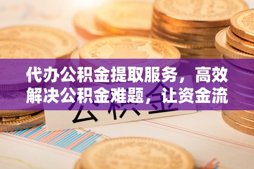 丰泽代办公积金提取服务，高效解决公积金难题，让资金流动更自由