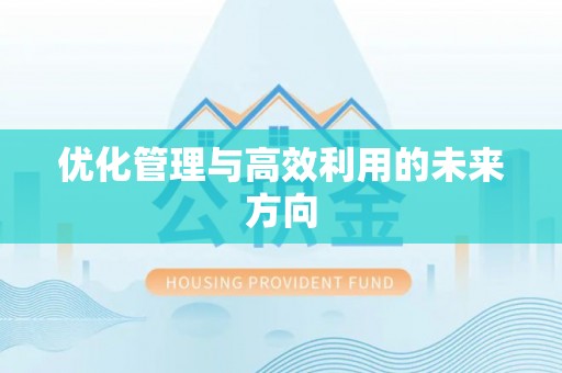 丰泽优化管理与高效利用的未来方向