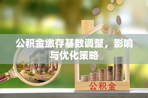 丰泽公积金缴存基数调整，影响与优化策略