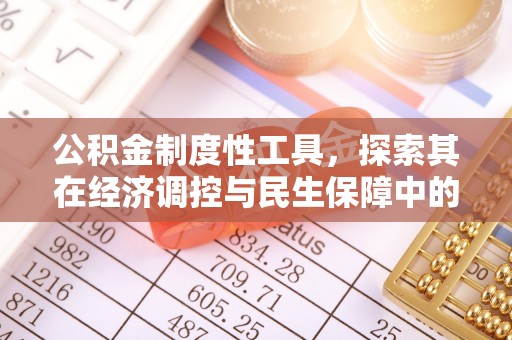 丰泽公积金制度性工具，探索其在经济调控与民生保障中的重要作用