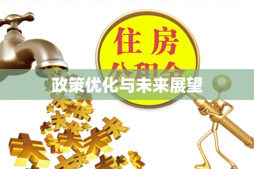 丰泽政策优化与未来展望
