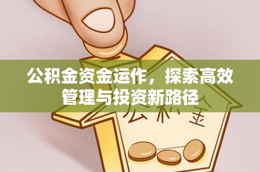 丰泽公积金资金运作，探索高效管理与投资新路径