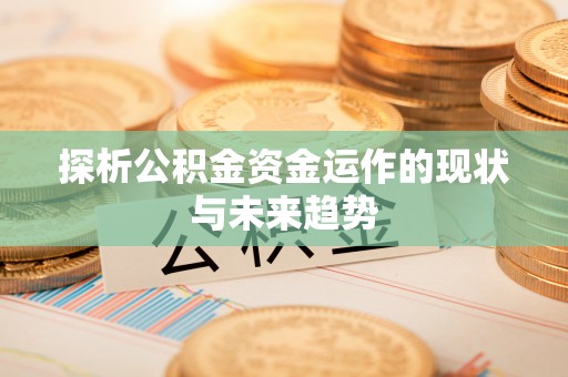 丰泽探析公积金资金运作的现状与未来趋势