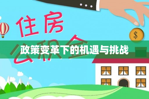 丰泽政策变革下的机遇与挑战