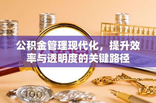丰泽公积金管理现代化，提升效率与透明度的关键路径