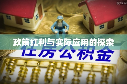 丰泽政策红利与实际应用的探索