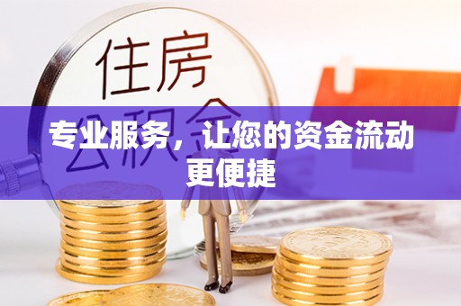 丰泽专业服务，让您的资金流动更便捷
