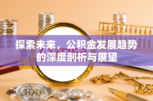 丰泽探索未来，公积金发展趋势的深度剖析与展望