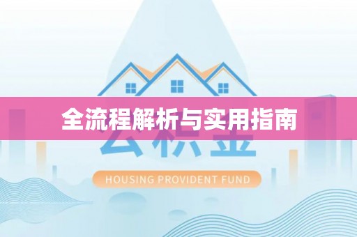 丰泽全流程解析与实用指南